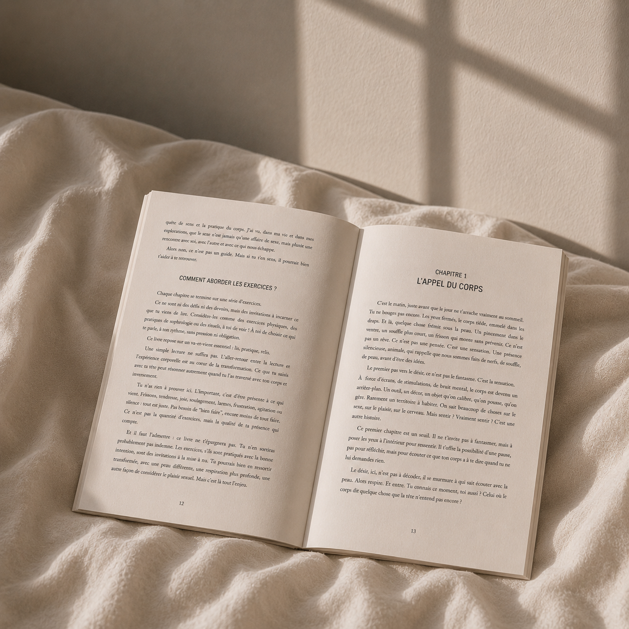 Version brochée du livre Tout excite, rien ne touche